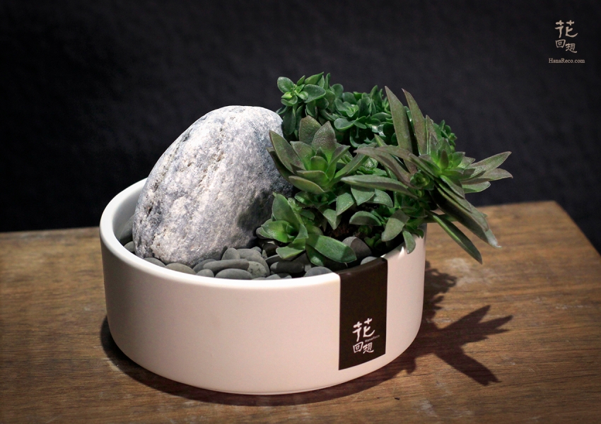 造花♪多肉植物と小花♪ 多肉植物HR-PC02-花回想花藝設計