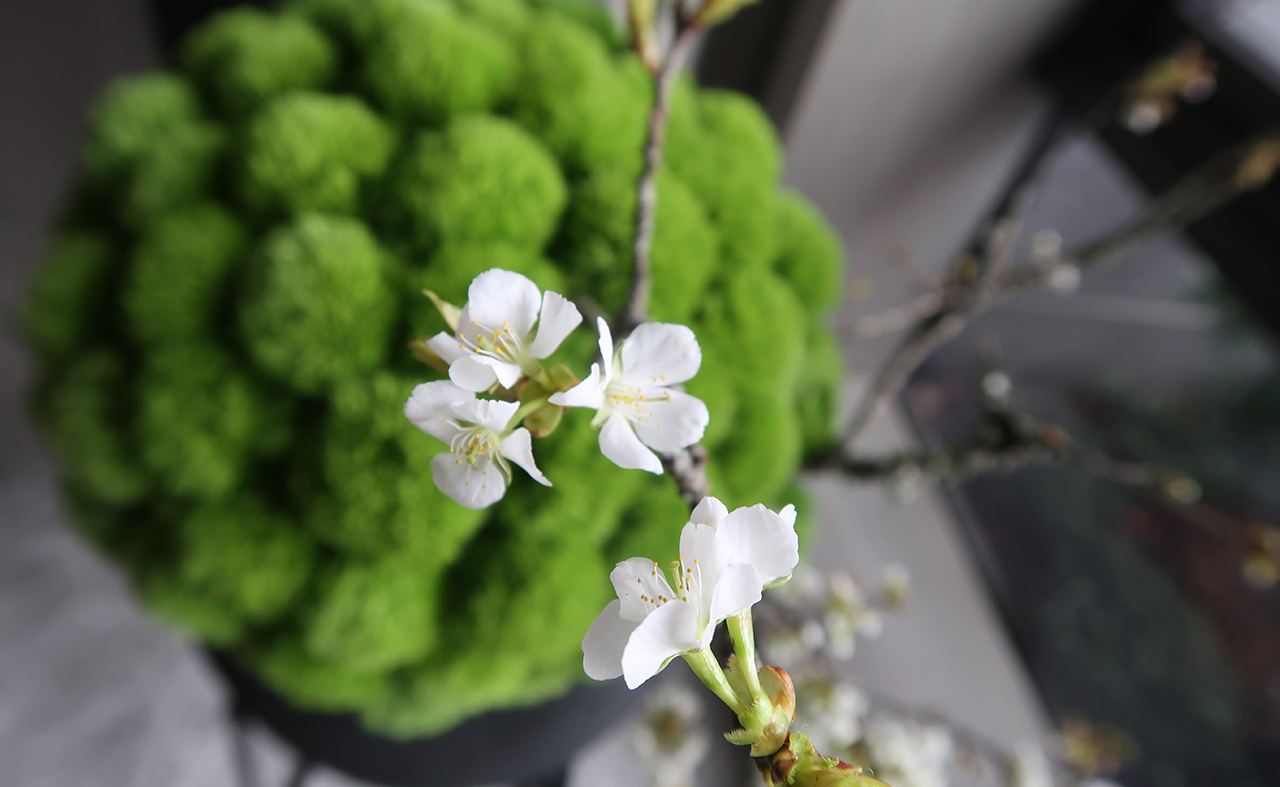 K-00000002 K-00000002